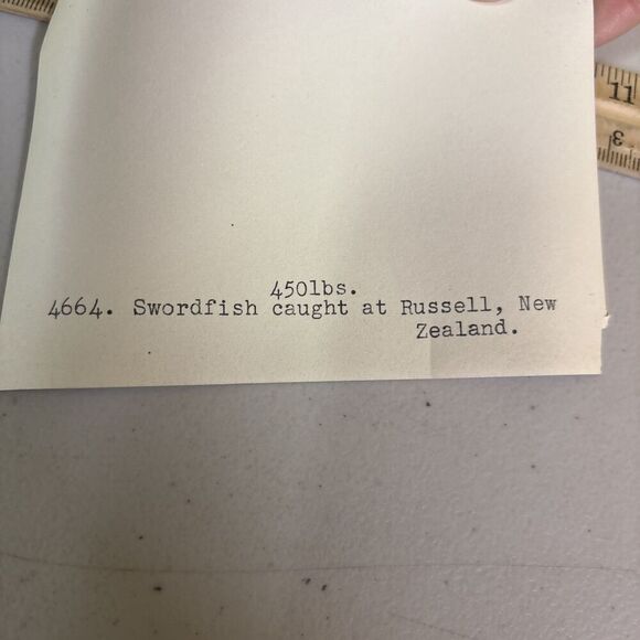 Original VTG New Zealand Government Publicity Photo Swordfish Caught @ Russell - Picture 5 of 6